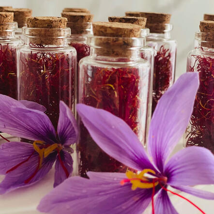 Packaged saffron at Valnara Estate, Spain